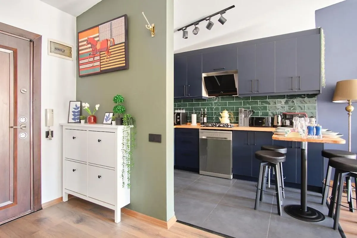 伊斯坦布尔Cozy Penthouse With The Balcony公寓 公寓 伊斯坦布尔